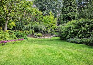 Optimiser l'expérience du jardin à Hamelincourt